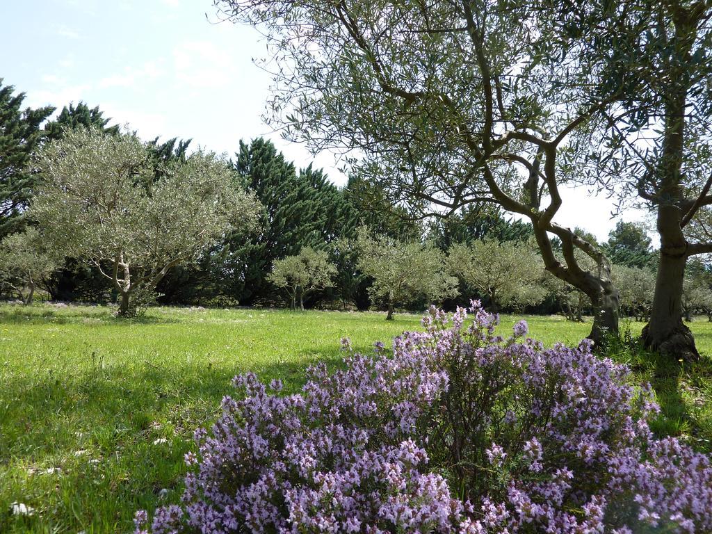 Les Mazets Du Luberon Bed & Breakfast Puget Dış mekan fotoğraf